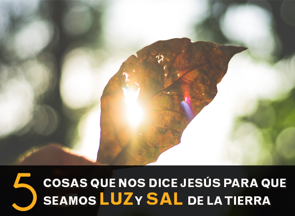 5_cosas_sal_y_luz_1.jpg