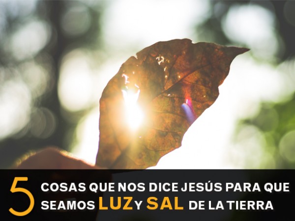 5_cosas_sal_y_luz_1.jpg